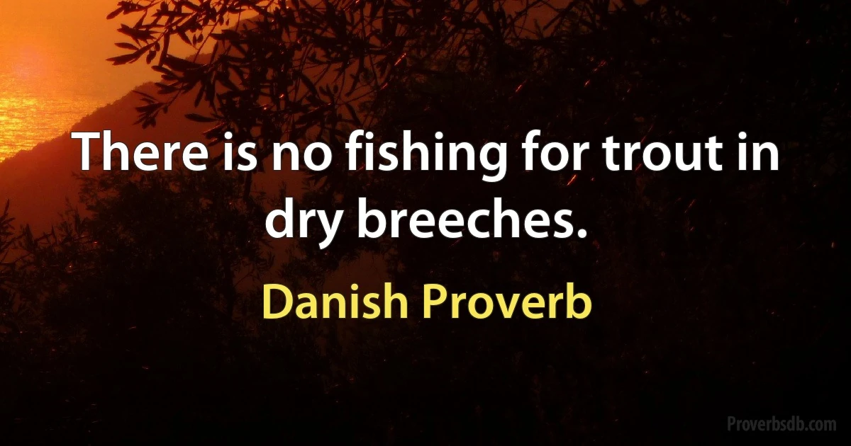 There is no fishing for trout in dry breeches. (Danish Proverb)