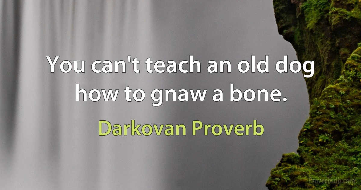 You can't teach an old dog how to gnaw a bone. (Darkovan Proverb)