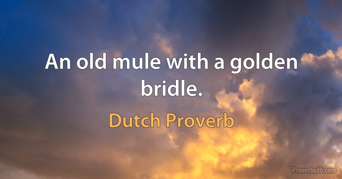 An old mule with a golden bridle. (Dutch Proverb)