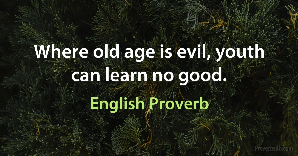 Where old age is evil, youth can learn no good. (English Proverb)