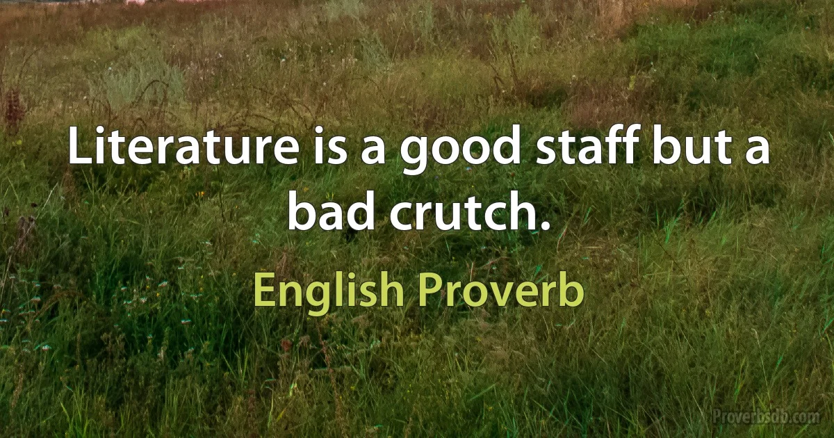 Literature is a good staff but a bad crutch. (English Proverb)