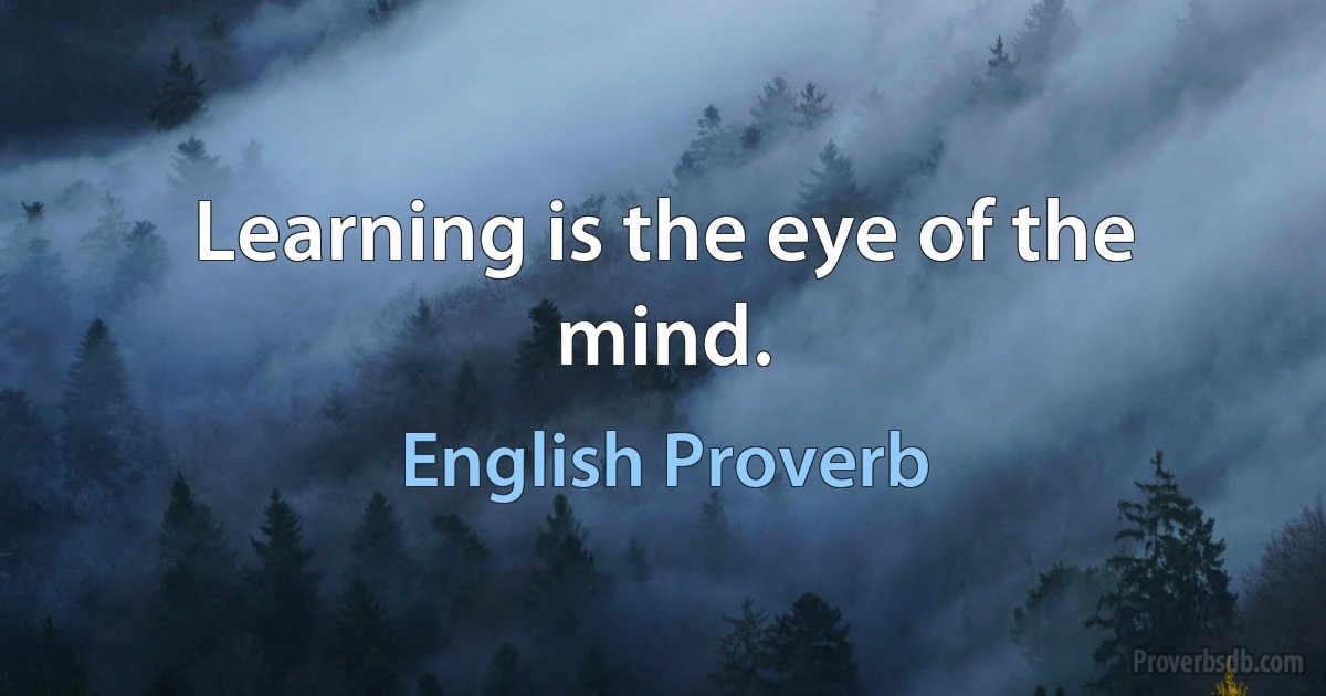 Learning is the eye of the mind. (English Proverb)