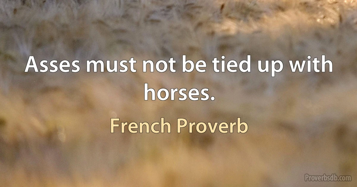 Asses must not be tied up with horses. (French Proverb)