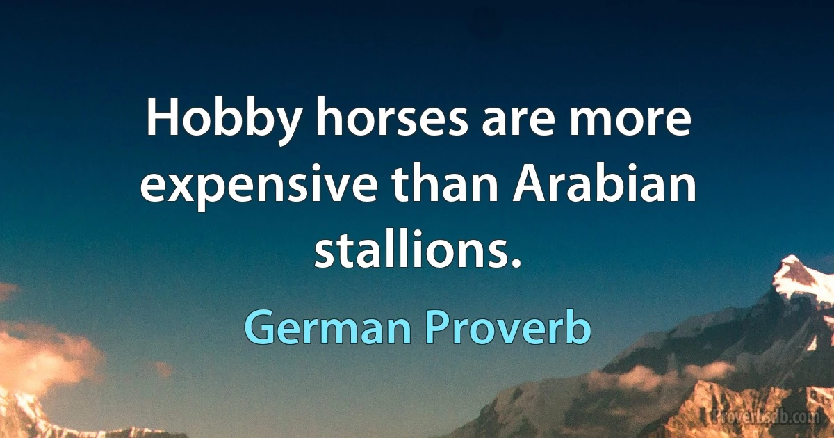 Hobby horses are more expensive than Arabian stallions. (German Proverb)