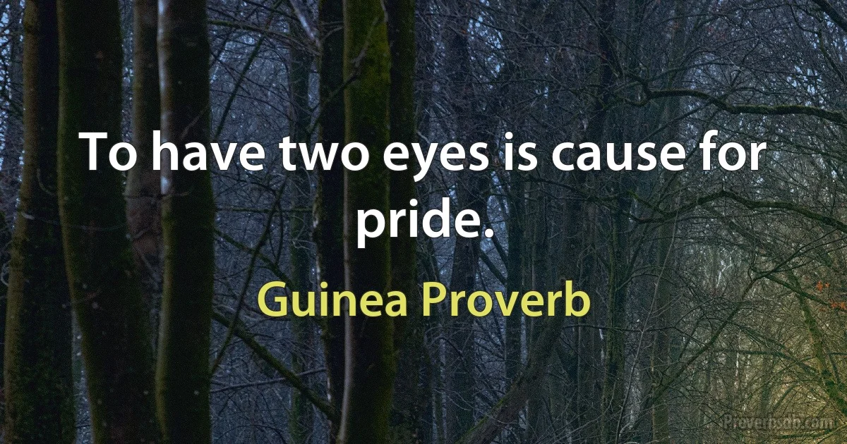 To have two eyes is cause for pride. (Guinea Proverb)