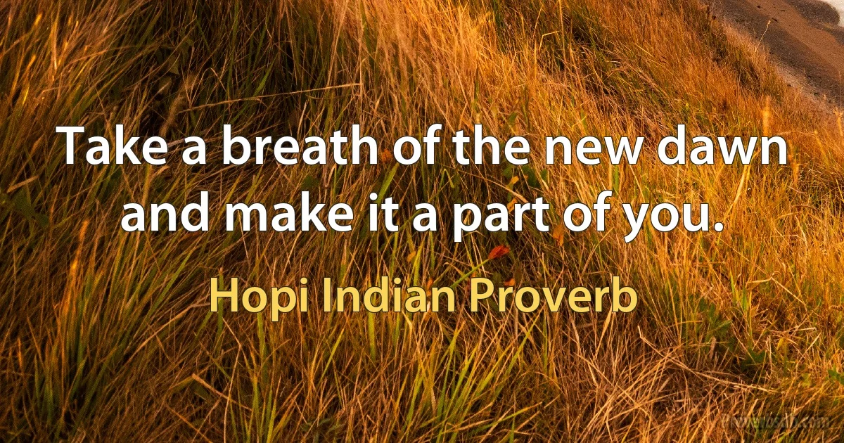 Take a breath of the new dawn and make it a part of you. (Hopi Indian Proverb)