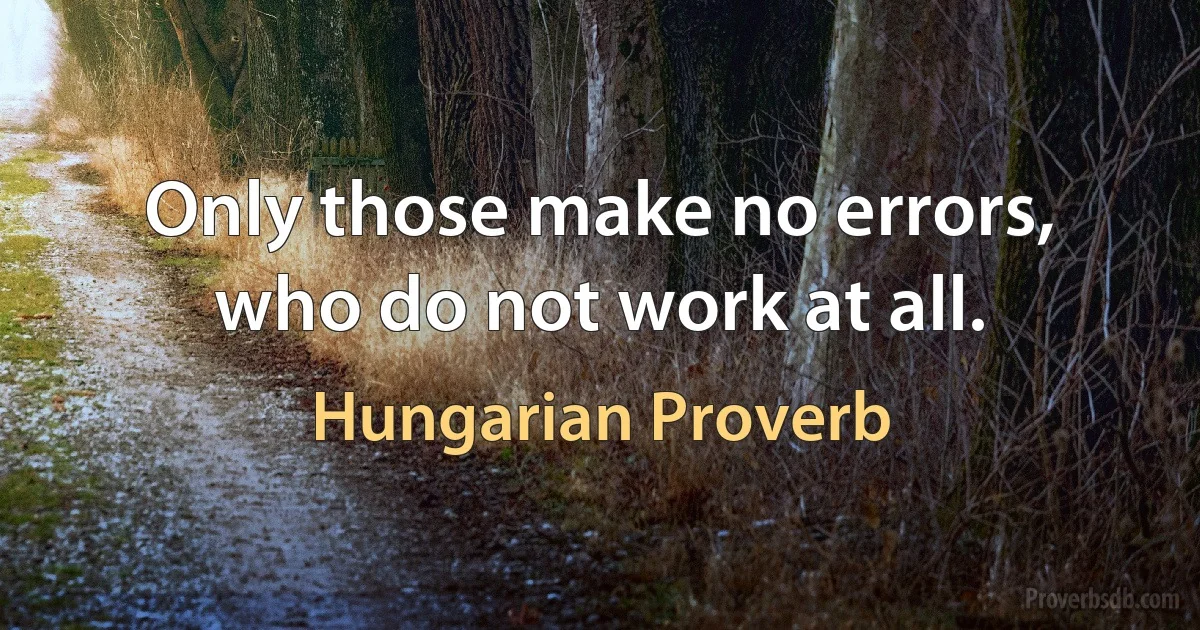 Only those make no errors, who do not work at all. (Hungarian Proverb)