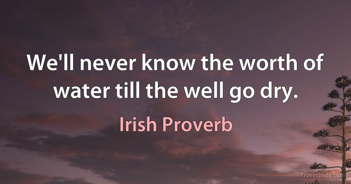 We'll never know the worth of water till the well go dry. (Irish Proverb)