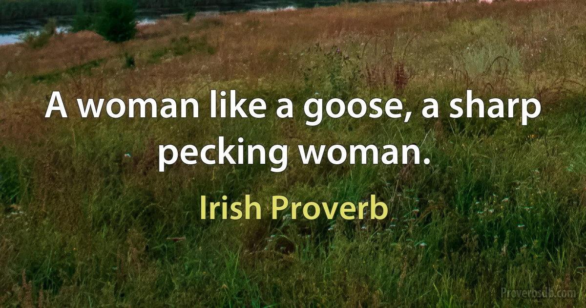 A woman like a goose, a sharp pecking woman. (Irish Proverb)