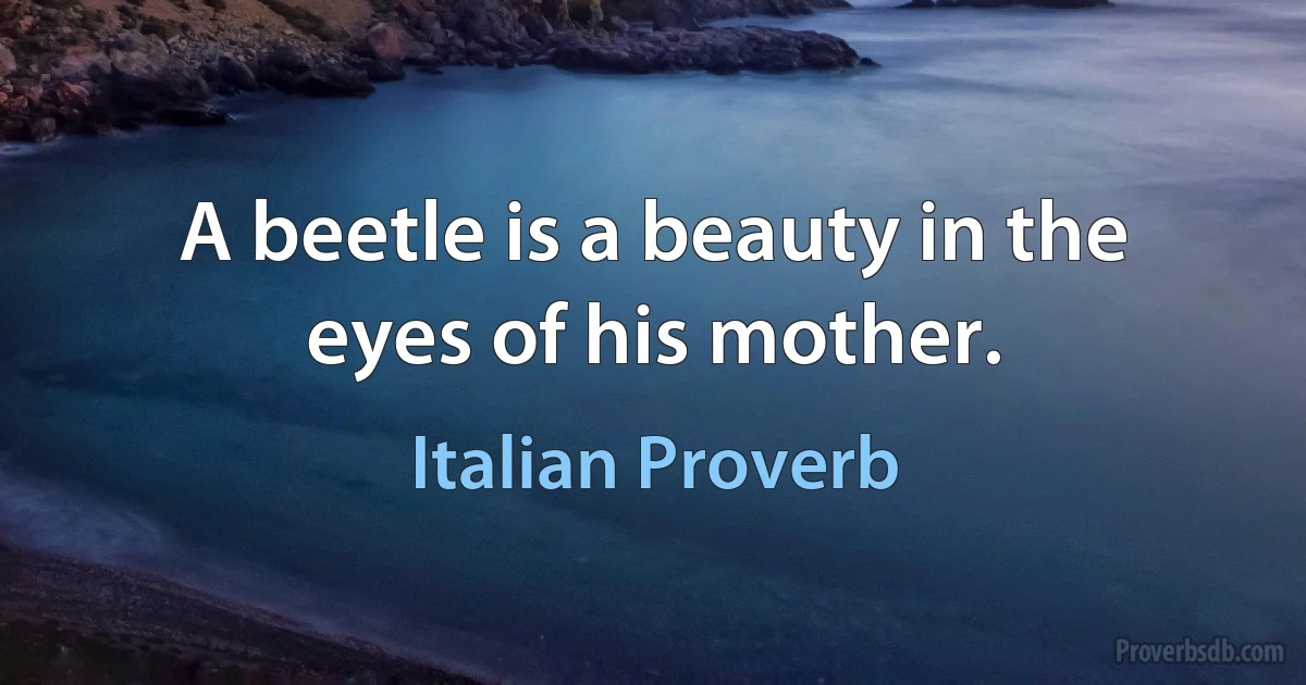 A beetle is a beauty in the eyes of his mother. (Italian Proverb)