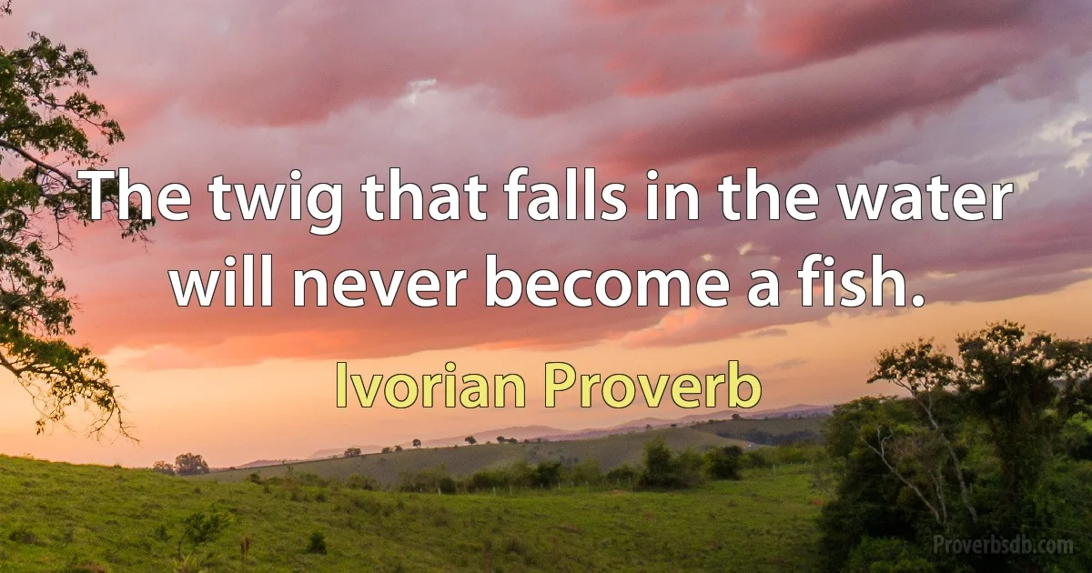 The twig that falls in the water will never become a fish. (Ivorian Proverb)