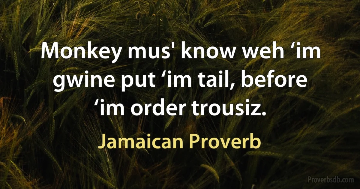 Monkey mus' know weh ‘im gwine put ‘im tail, before ‘im order trousiz. (Jamaican Proverb)