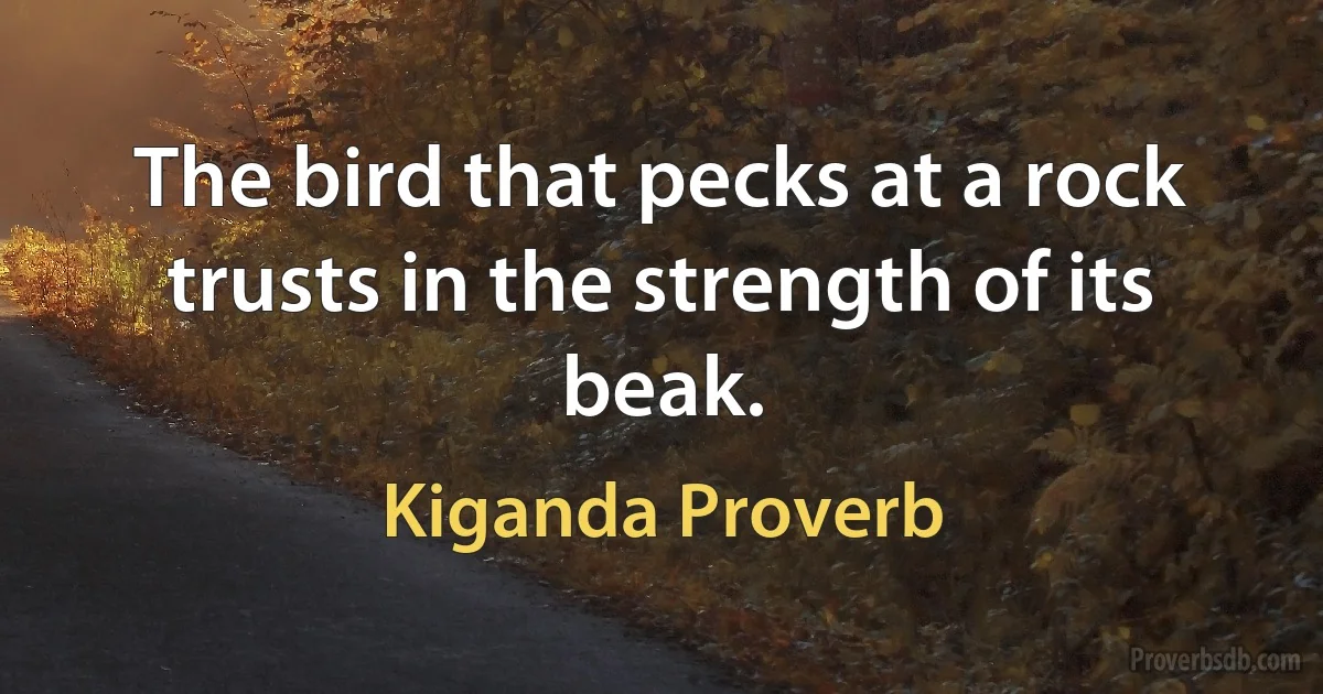 The bird that pecks at a rock trusts in the strength of its beak. (Kiganda Proverb)