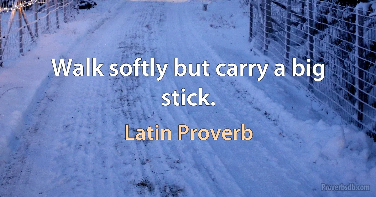 Walk softly but carry a big stick. (Latin Proverb)