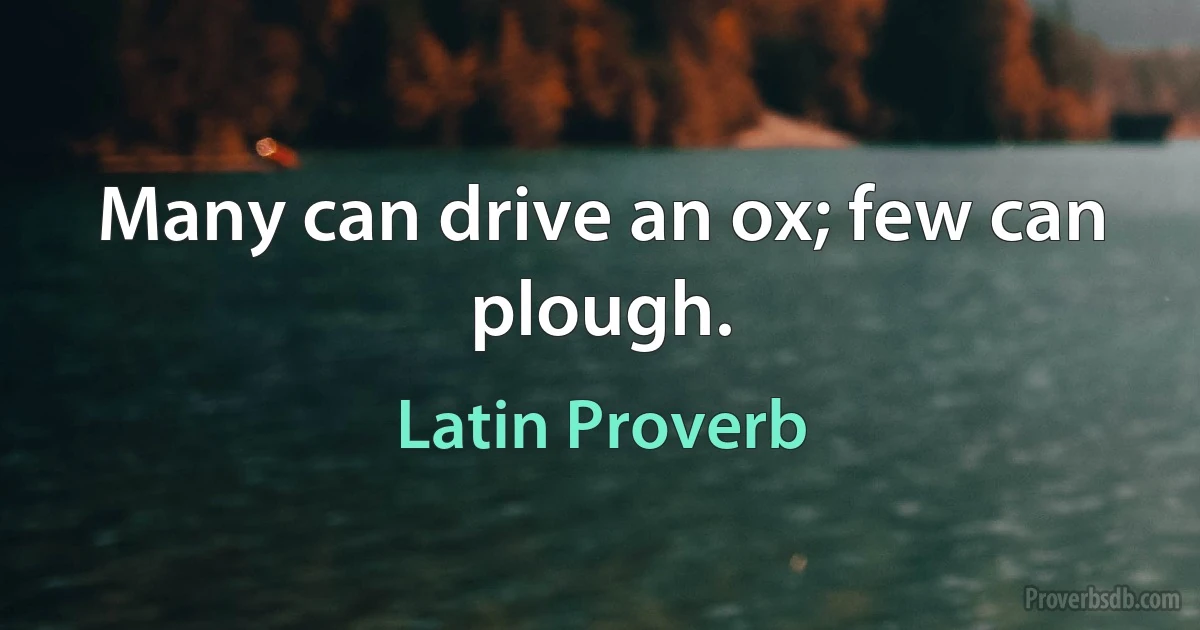 Many can drive an ox; few can plough. (Latin Proverb)