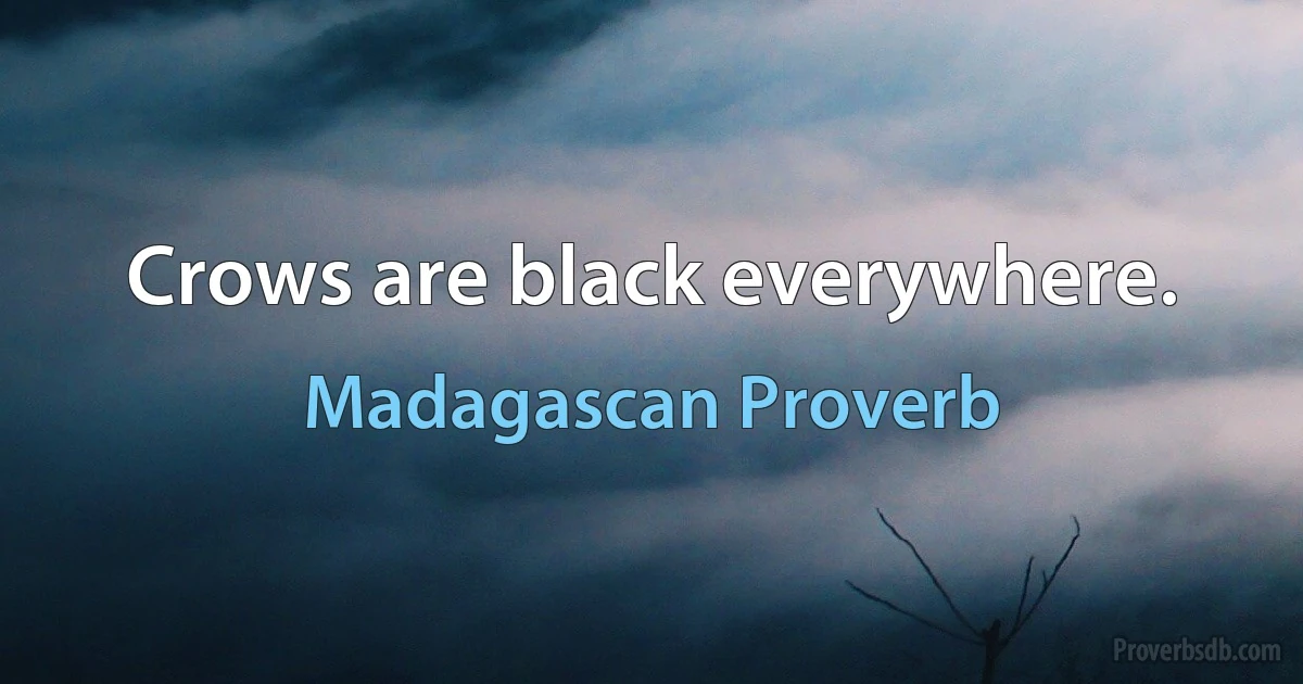 Crows are black everywhere. (Madagascan Proverb)