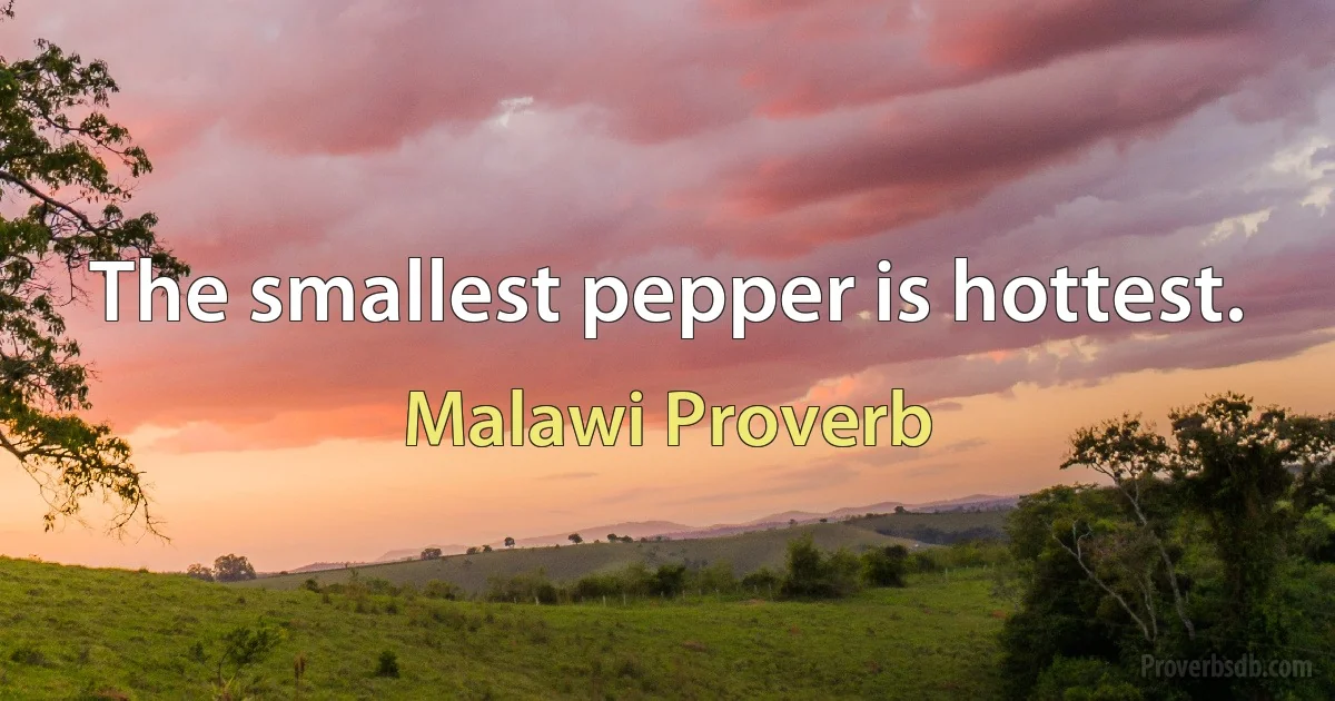 The smallest pepper is hottest. (Malawi Proverb)