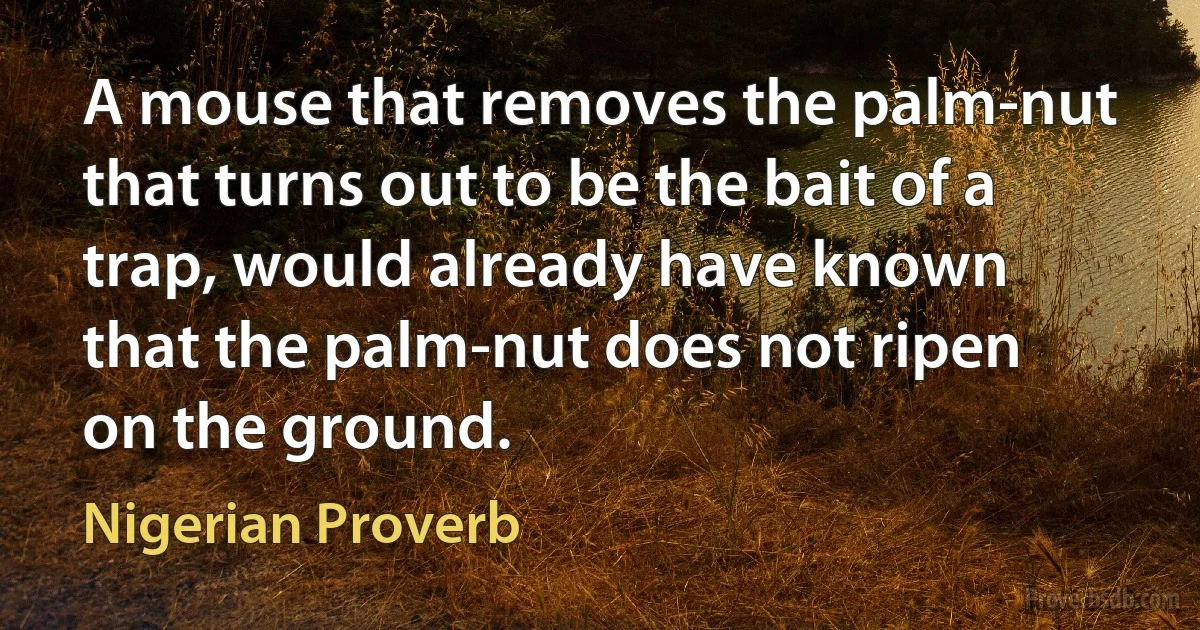 A mouse that removes the palm-nut that turns out to be the bait of a trap, would already have known that the palm-nut does not ripen on the ground. (Nigerian Proverb)