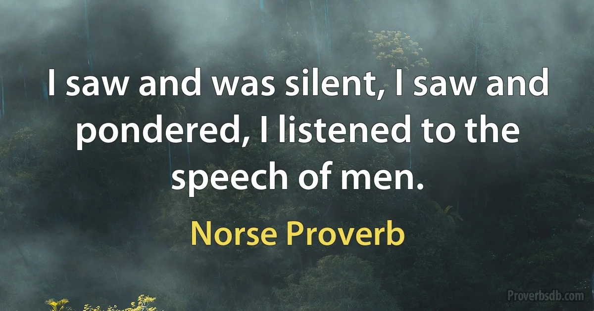 I saw and was silent, I saw and pondered, I listened to the speech of men. (Norse Proverb)