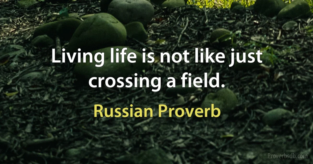 Living life is not like just crossing a field. (Russian Proverb)