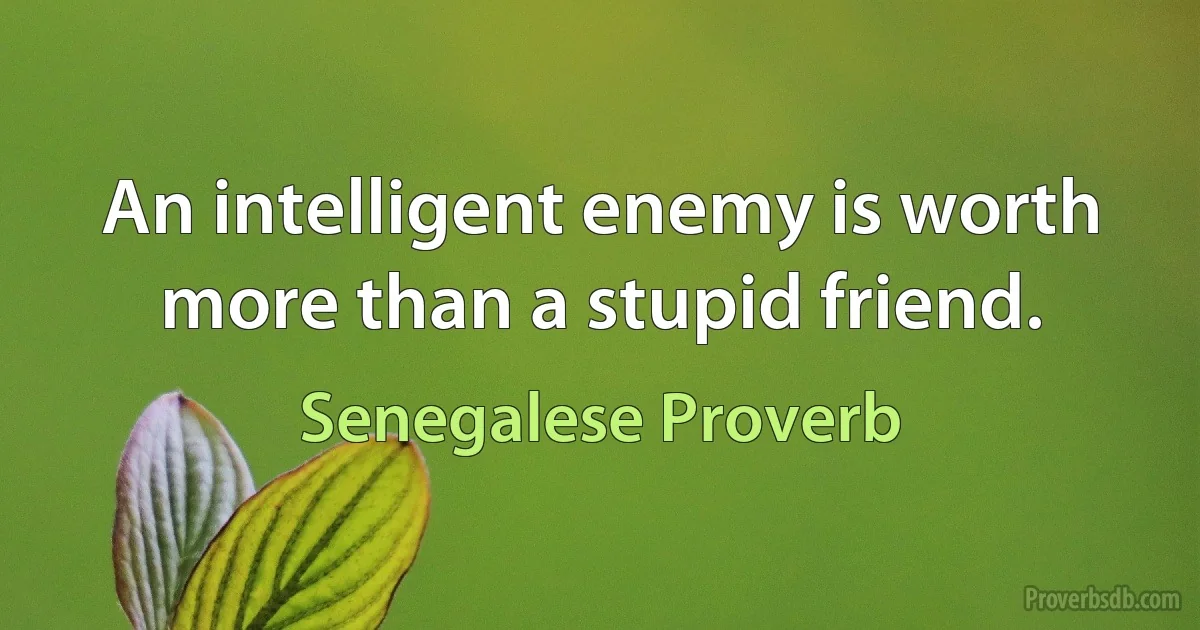 An intelligent enemy is worth more than a stupid friend. (Senegalese Proverb)