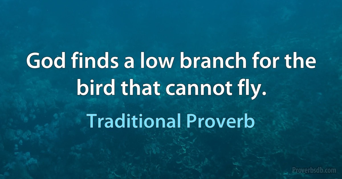 God finds a low branch for the bird that cannot fly. (Traditional Proverb)