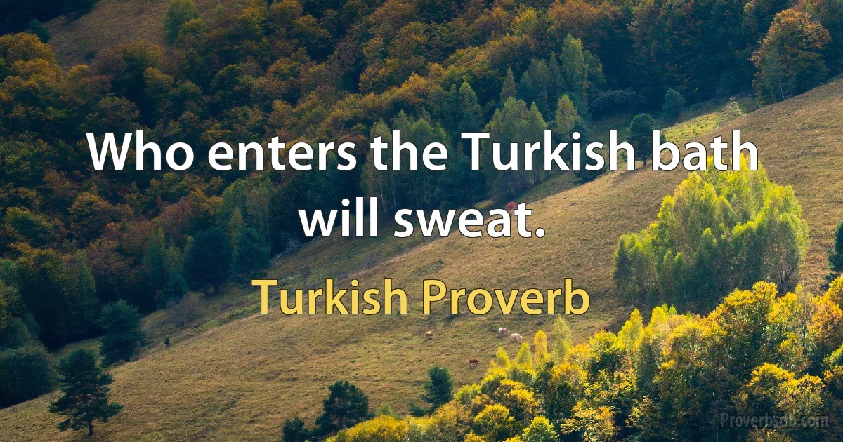 Who enters the Turkish bath will sweat. (Turkish Proverb)