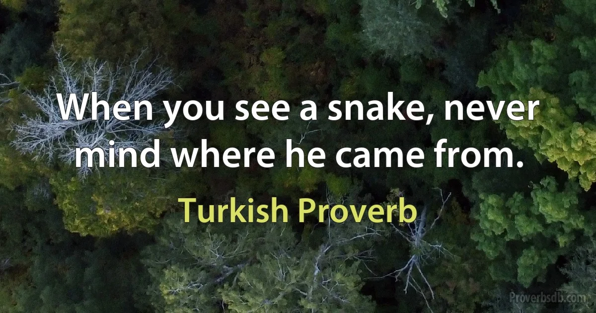 When you see a snake, never mind where he came from. (Turkish Proverb)