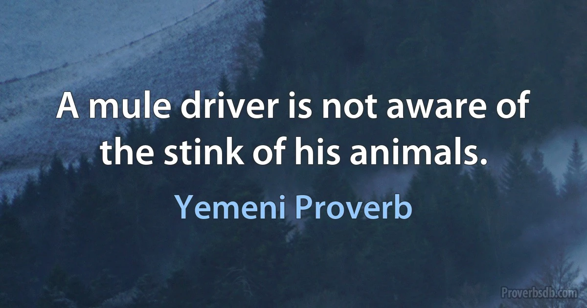 A mule driver is not aware of the stink of his animals. (Yemeni Proverb)