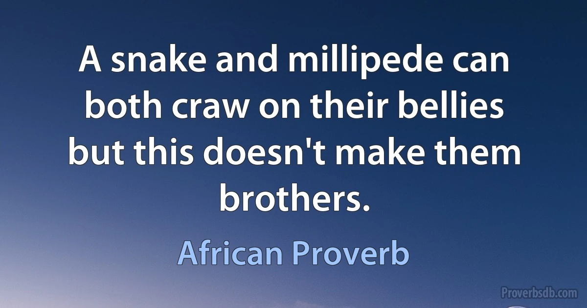 A snake and millipede can both craw on their bellies but this doesn't make them brothers. (African Proverb)