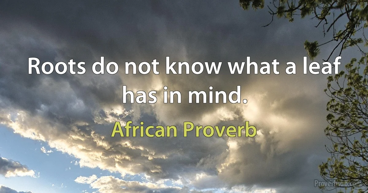 Roots do not know what a leaf has in mind. (African Proverb)