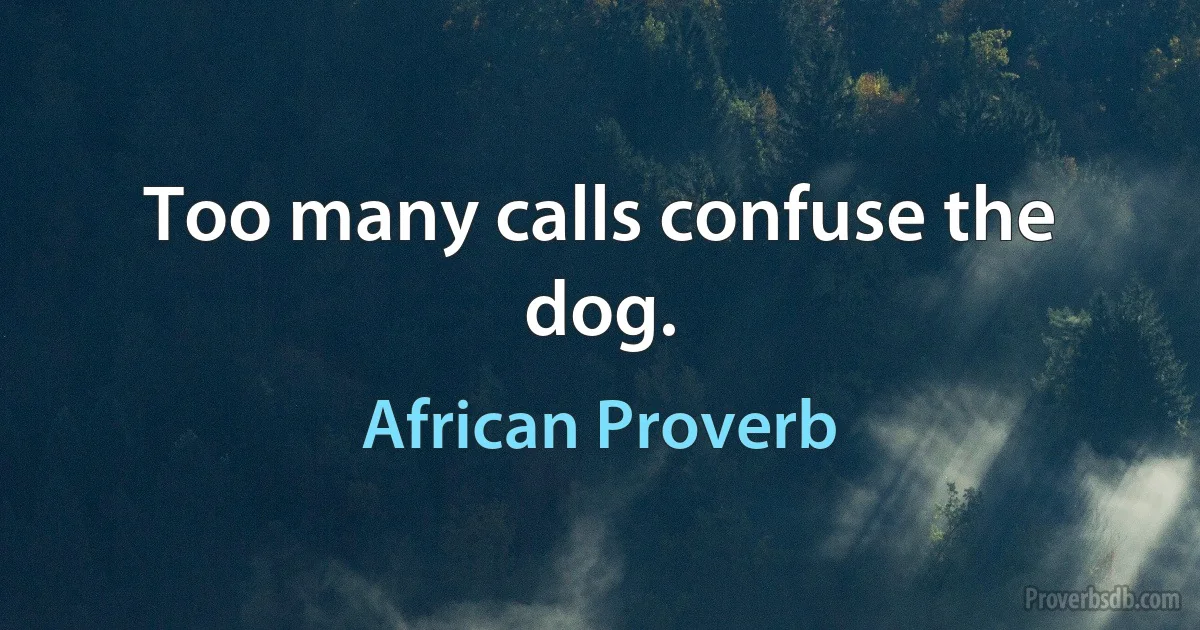 Too many calls confuse the dog. (African Proverb)