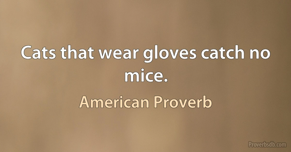 Cats that wear gloves catch no mice. (American Proverb)