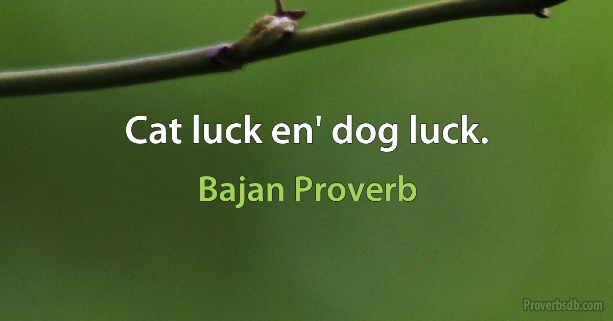 Cat luck en' dog luck. (Bajan Proverb)