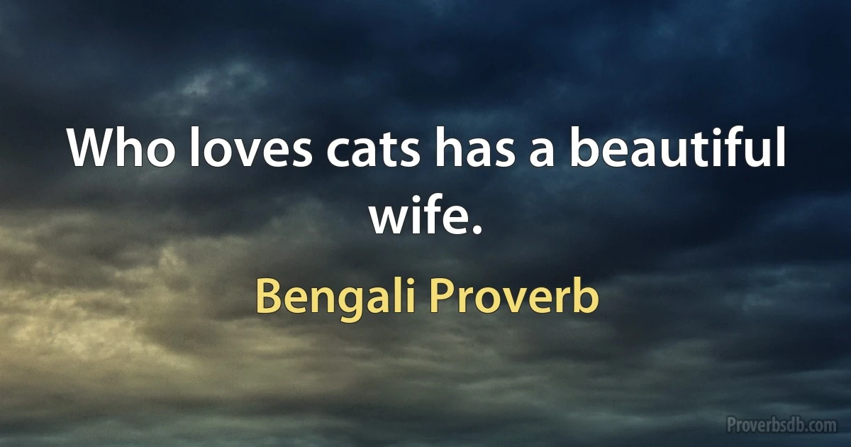 Who loves cats has a beautiful wife. (Bengali Proverb)