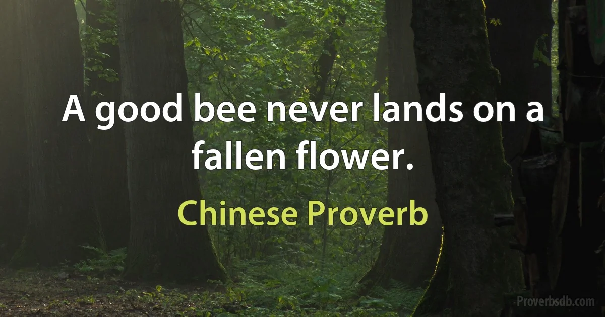 A good bee never lands on a fallen flower. (Chinese Proverb)