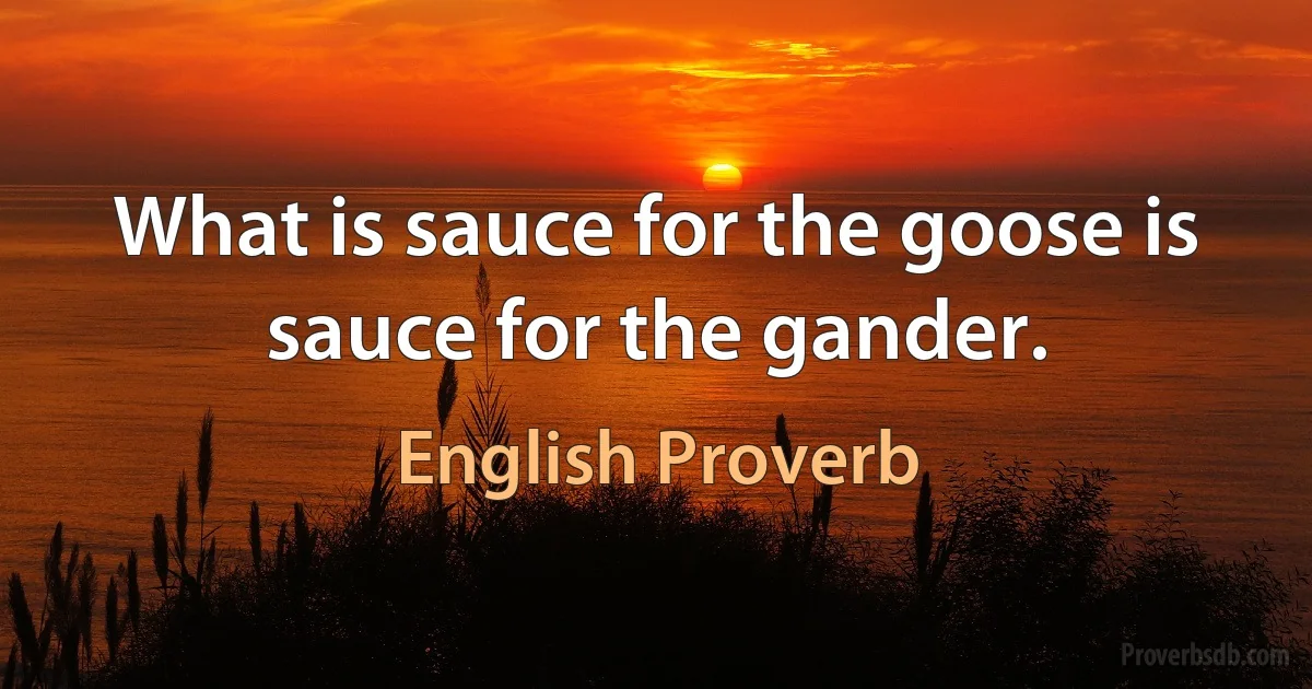 What is sauce for the goose is sauce for the gander. (English Proverb)