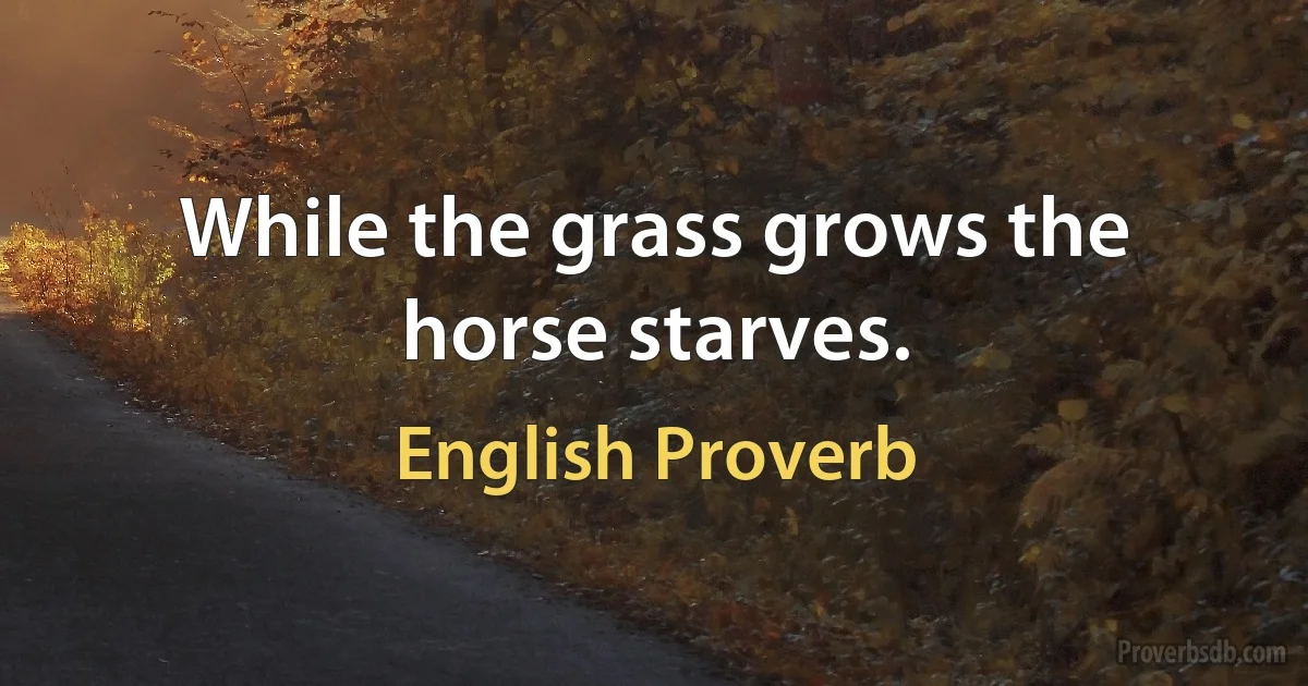 While the grass grows the horse starves. (English Proverb)