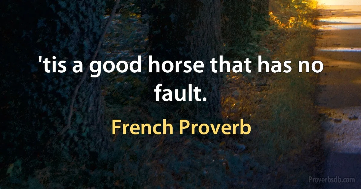 'tis a good horse that has no fault. (French Proverb)