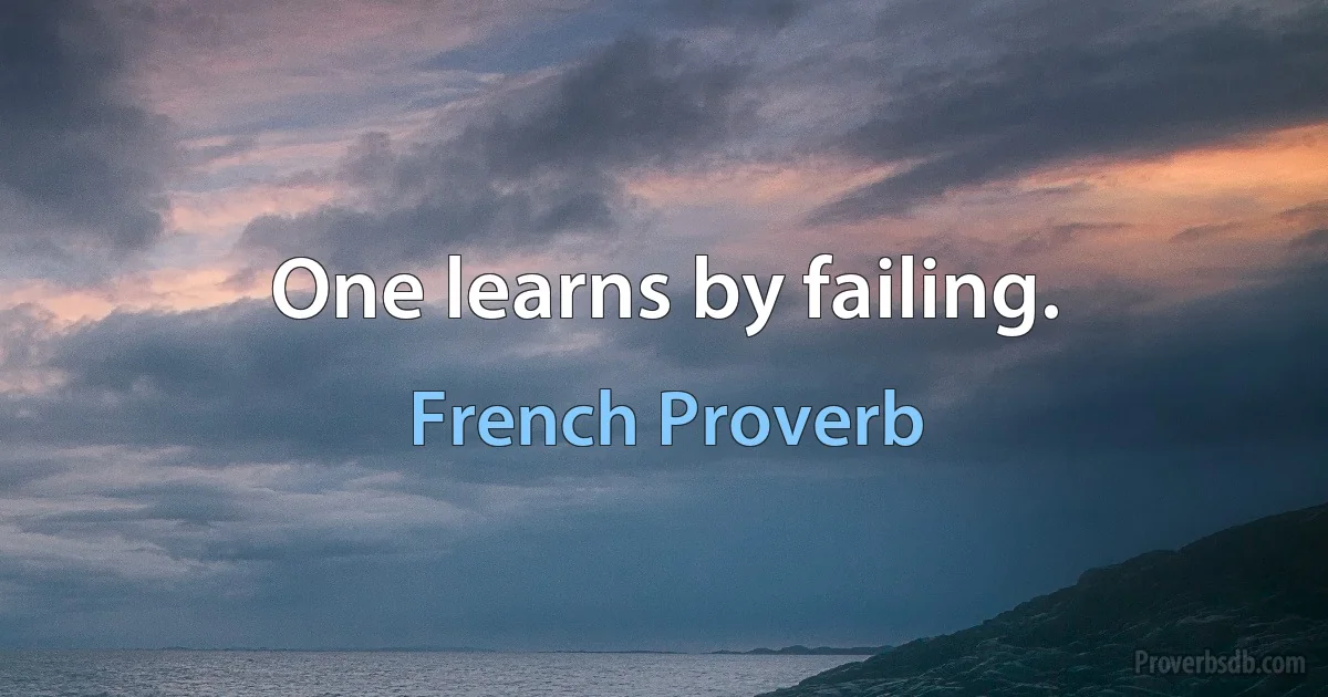 One learns by failing. (French Proverb)