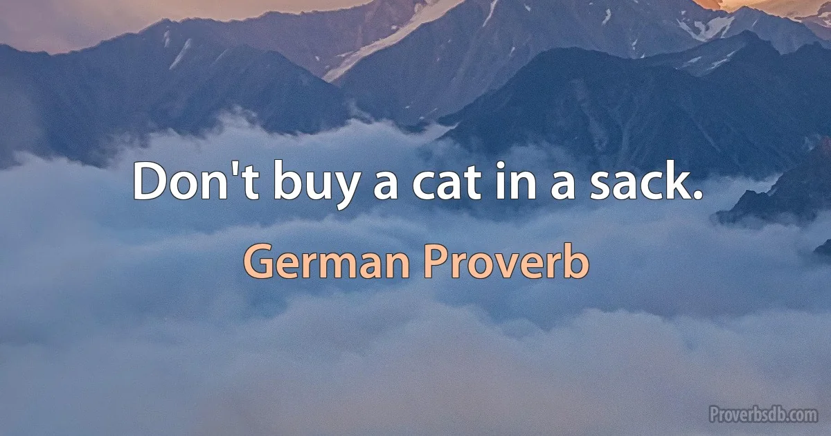 Don't buy a cat in a sack. (German Proverb)