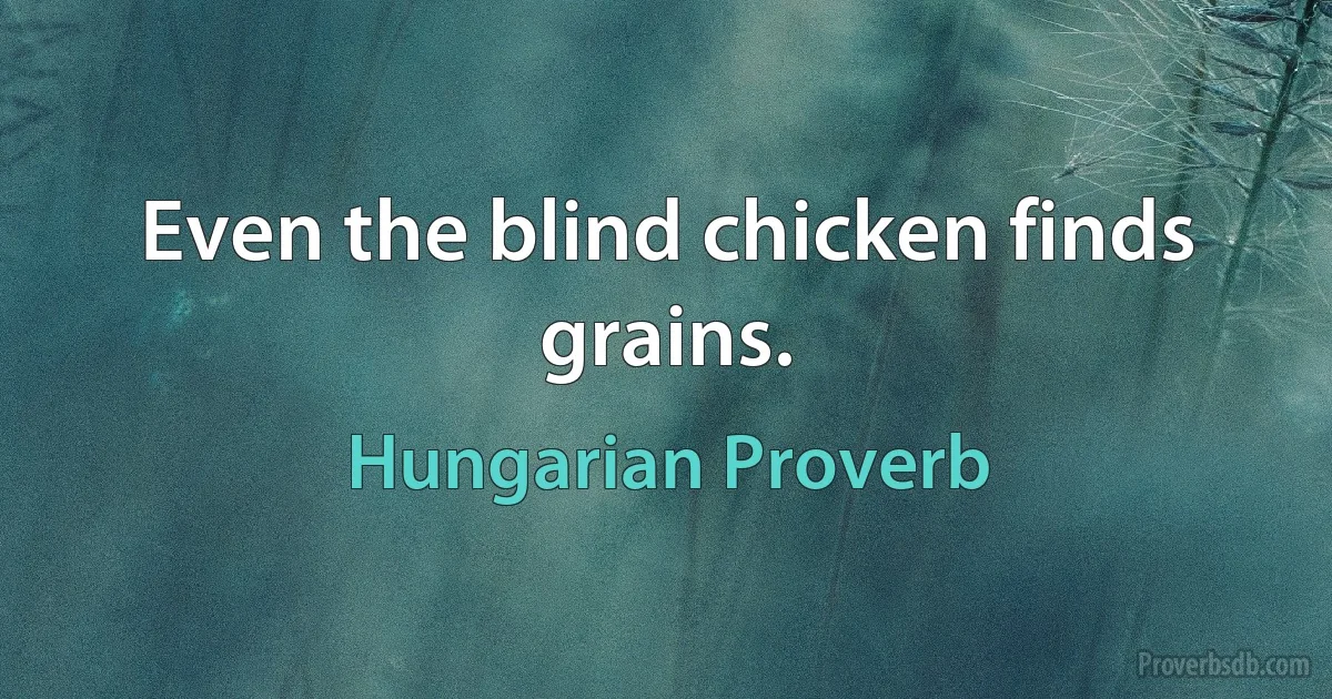 Even the blind chicken finds grains. (Hungarian Proverb)