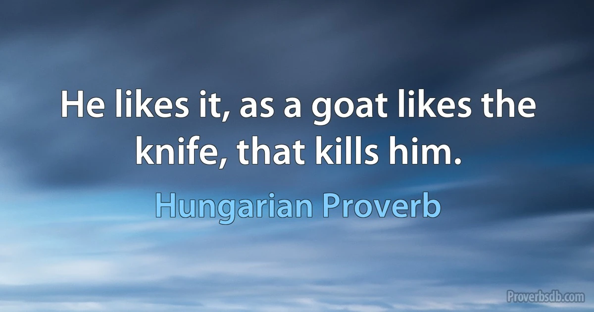 He likes it, as a goat likes the knife, that kills him. (Hungarian Proverb)