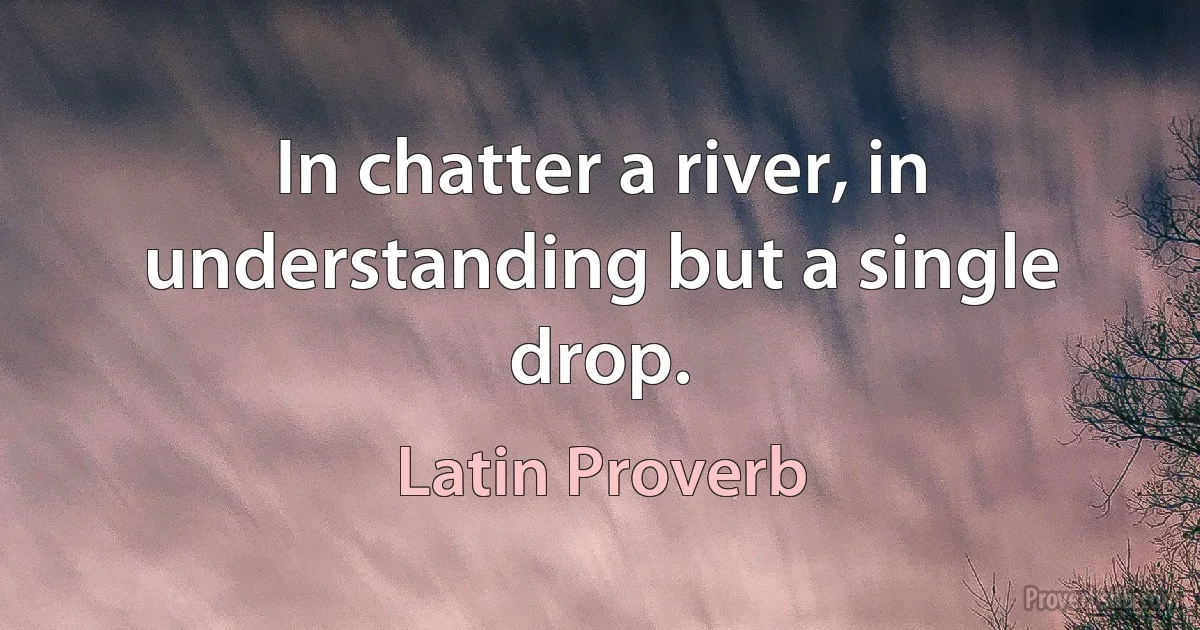 In chatter a river, in understanding but a single drop. (Latin Proverb)