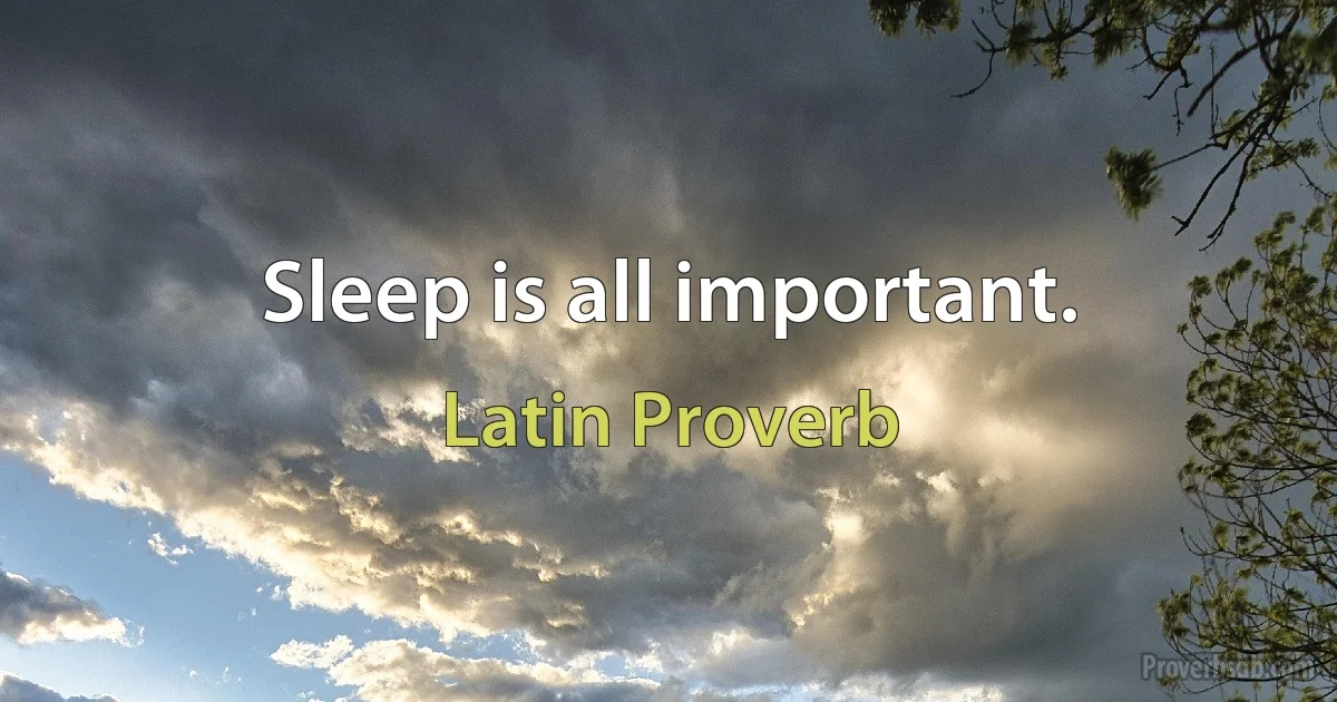 Sleep is all important. (Latin Proverb)