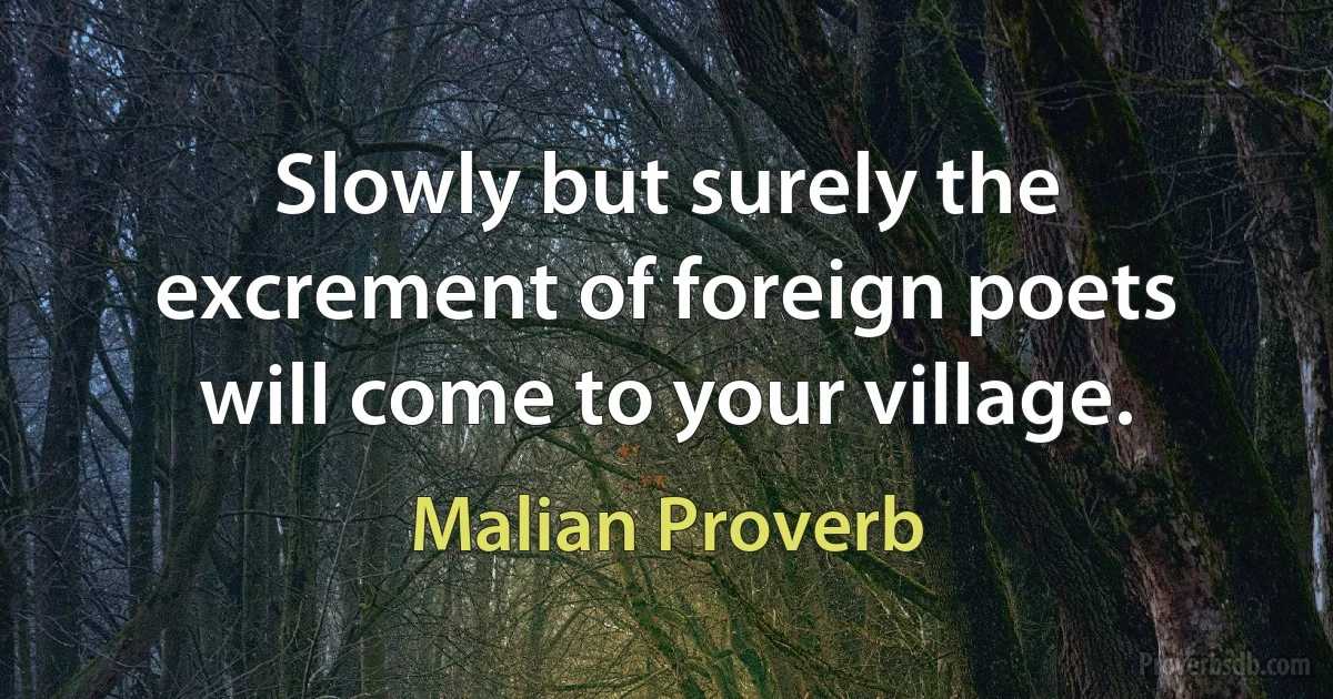 Slowly but surely the excrement of foreign poets will come to your village. (Malian Proverb)