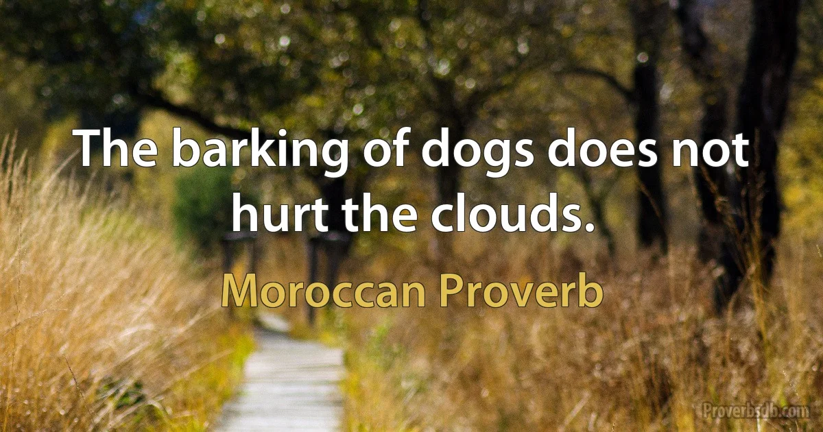 The barking of dogs does not hurt the clouds. (Moroccan Proverb)