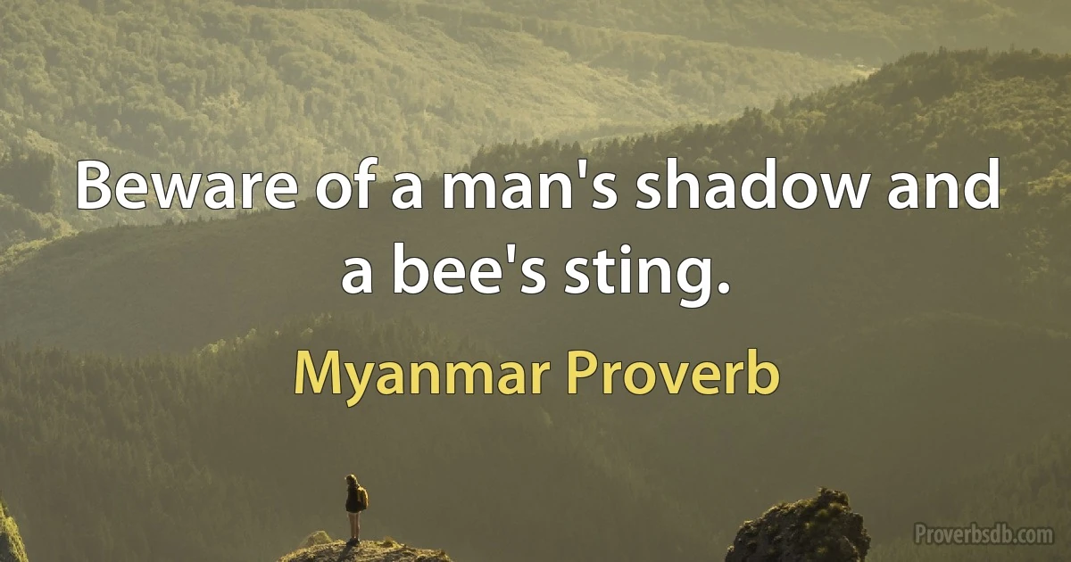 Beware of a man's shadow and a bee's sting. (Myanmar Proverb)