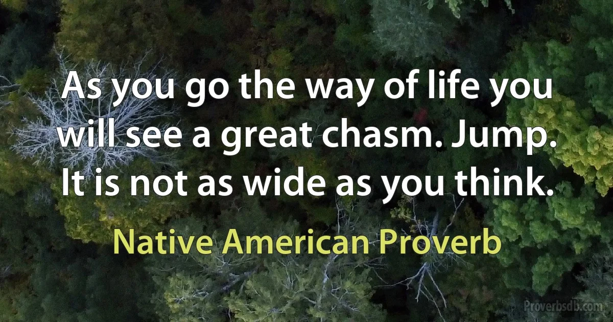 As you go the way of life you will see a great chasm. Jump. It is not as wide as you think. (Native American Proverb)