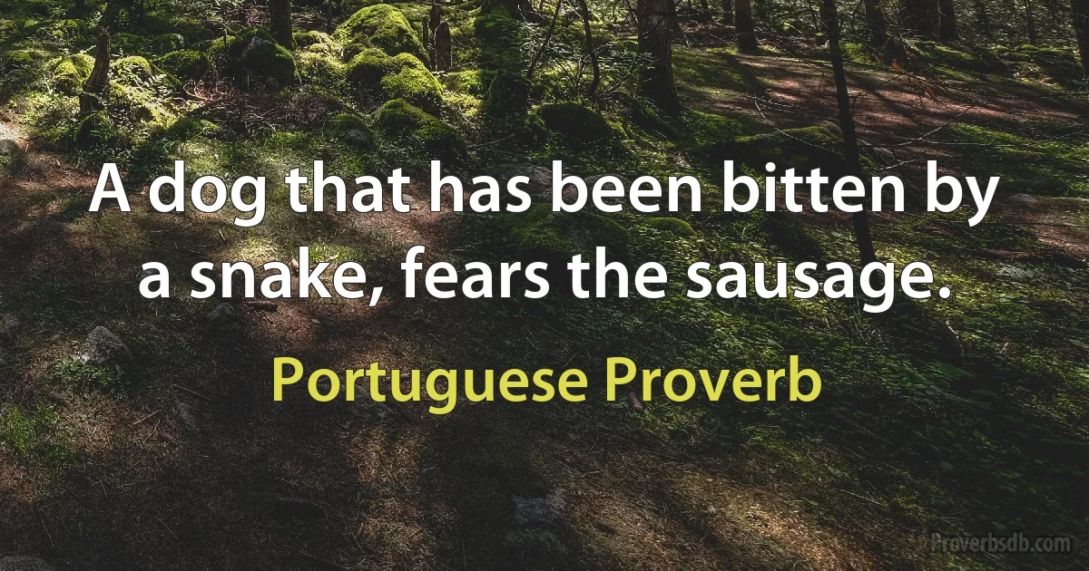 A dog that has been bitten by a snake, fears the sausage. (Portuguese Proverb)